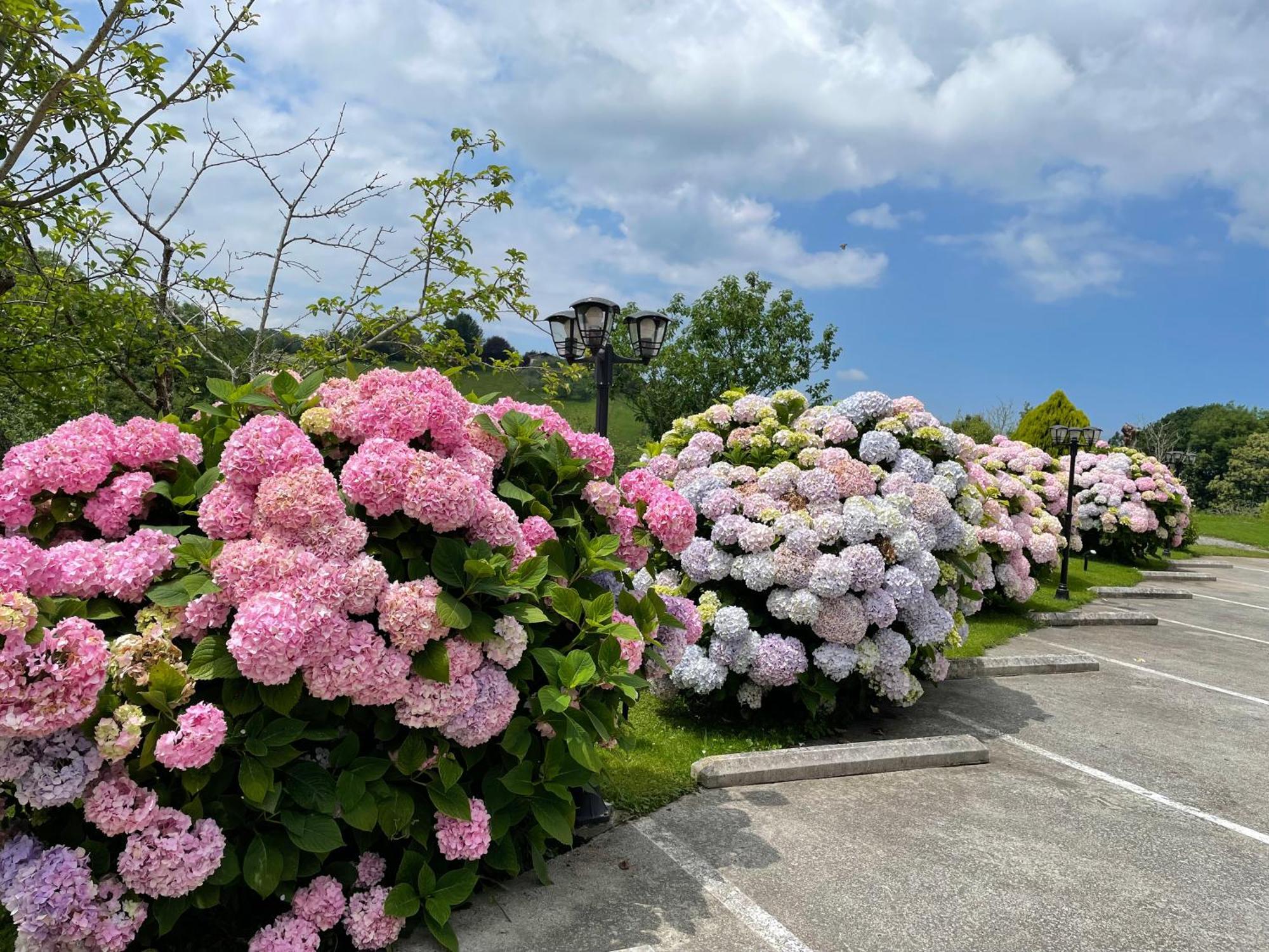 Agroturismo Erretegi Haundi Oiartzun Exteriér fotografie